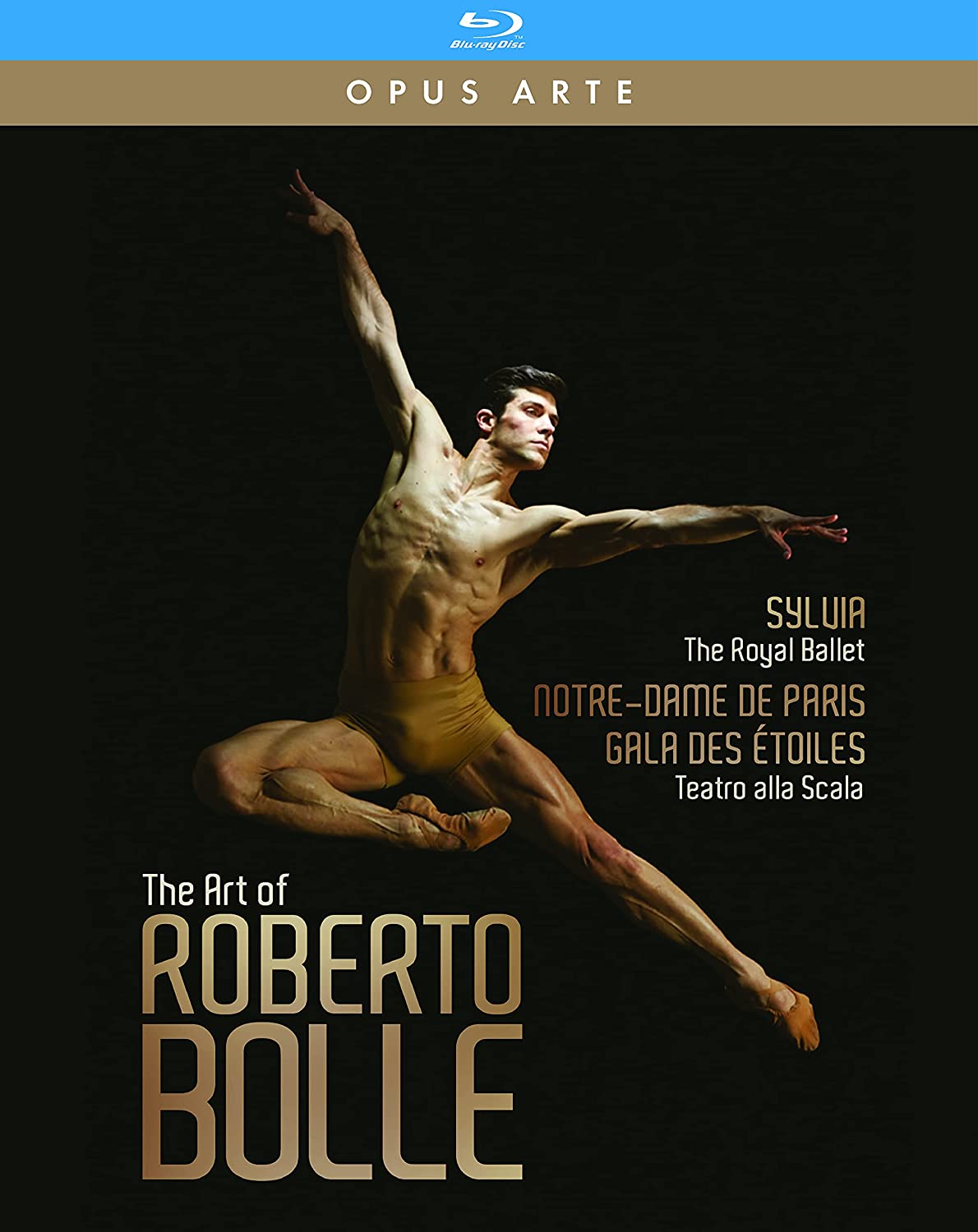 イタリア屈指のバレエ・ダンサー、ロベルト・ボッレの魅力を凝縮した3枚組BOX『ロベルト・ボッレの芸術』、DVDu0026Blu-rayが2021年6月25日発売  | バレエニュースダイジェスト
